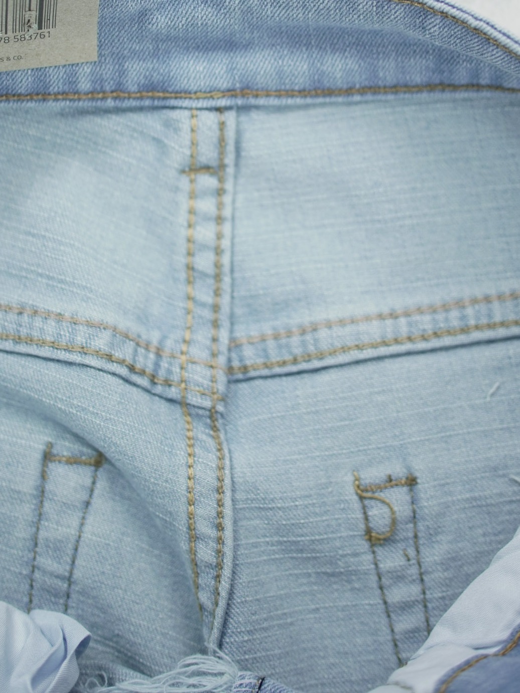 Ice Blue Distressed Jorts